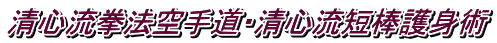 ���S�����@��蓹�E���S���Z�_��g�p